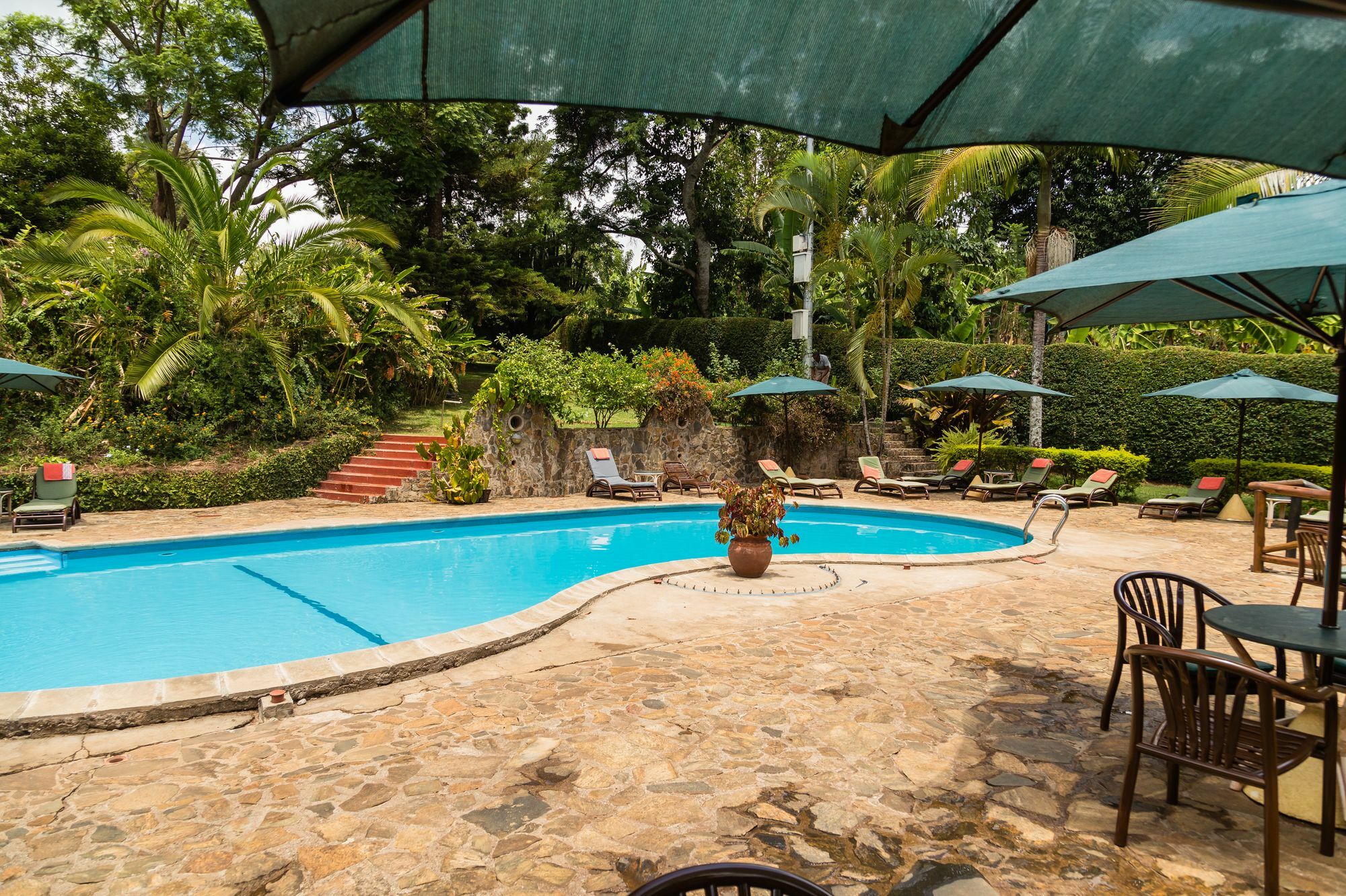 Aishi Machame Villa Moshi Ngoại thất bức ảnh