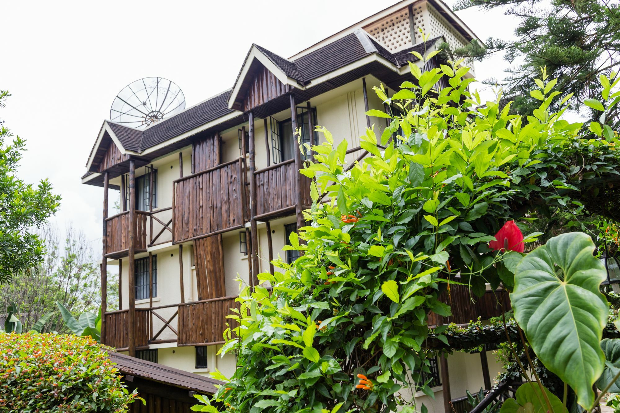 Aishi Machame Villa Moshi Ngoại thất bức ảnh