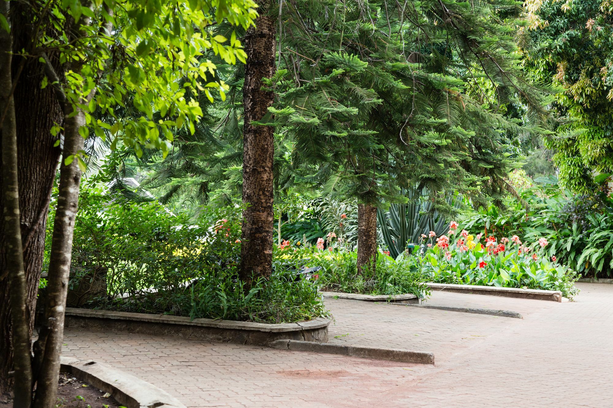 Aishi Machame Villa Moshi Ngoại thất bức ảnh